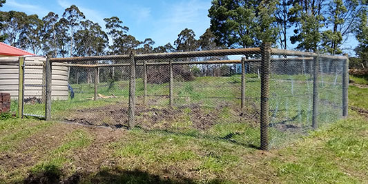 Chicken Wire Fence
