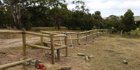 Chicken Wire Fence