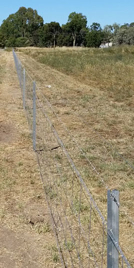 Wire Boundary